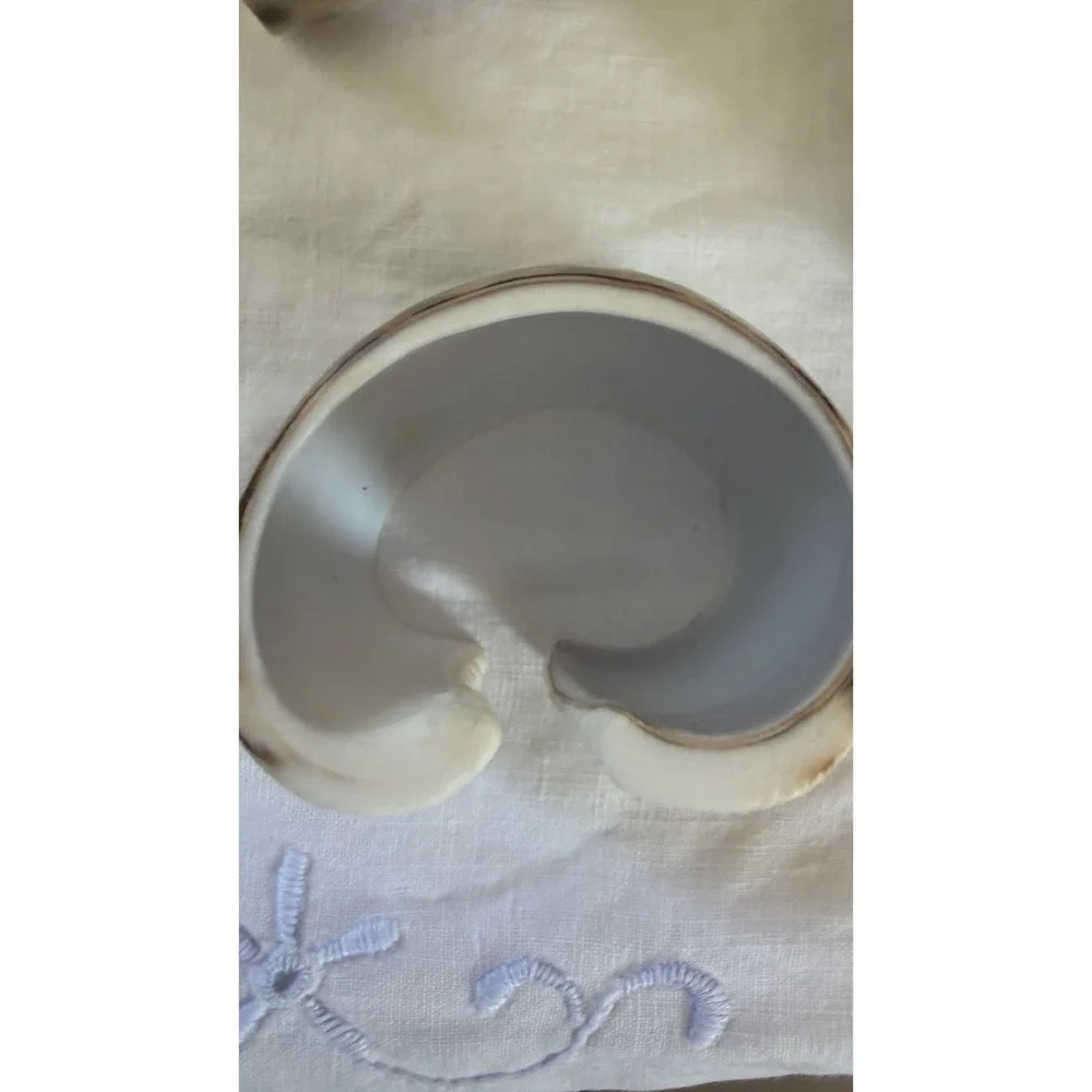 Vintage Tiger Cowrie Shell Napkin Rings Set Of 6 Coastal Beach Table Decor
